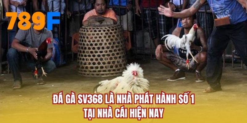 Đá gà SV368 là nhà phát hành số 1 tại nhà cái hiện nay