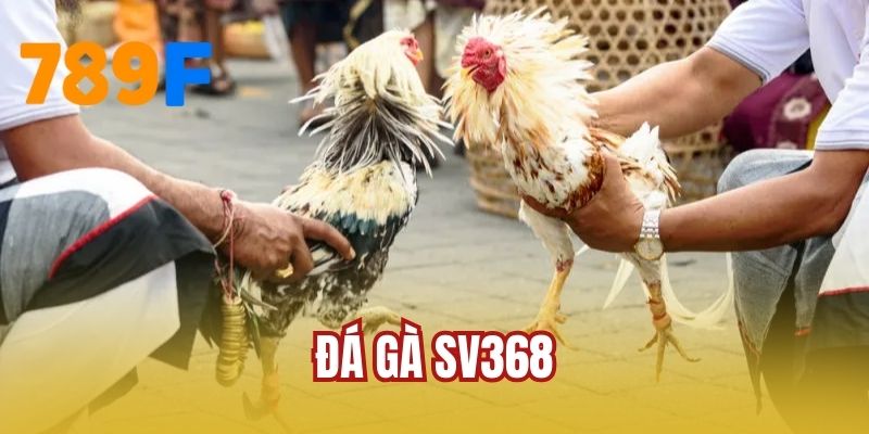 Đá Gà SV368 - Nhà Phát Hành Hàng Đầu Được Lòng Hội Viên