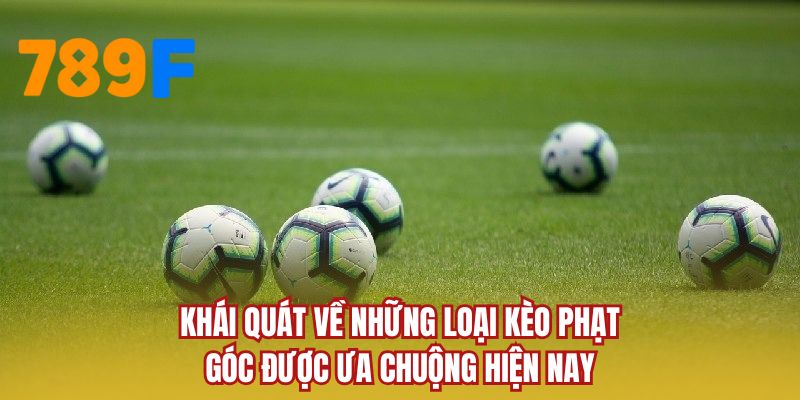 Khái quát về những loại kèo phạt góc được ưa chuộng hiện nay