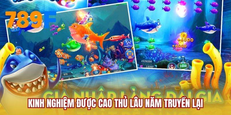 Kinh nghiệm được cao thủ lâu năm truyền lại