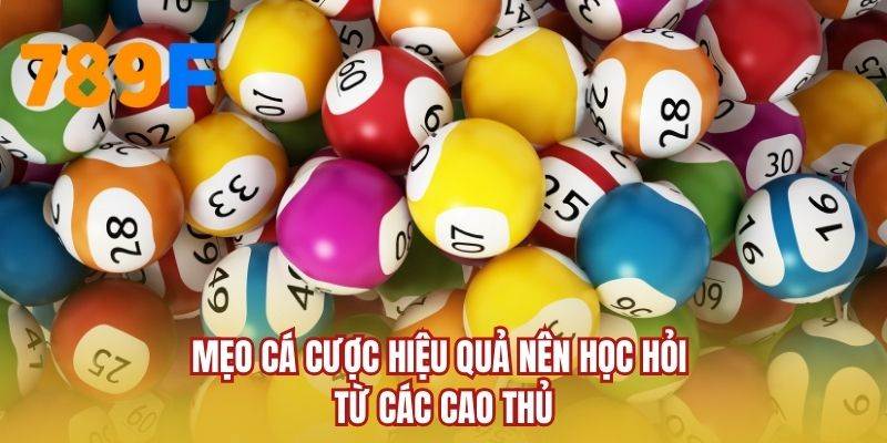 Mẹo cá cược hiệu quả nên học hỏi từ các cao thủ