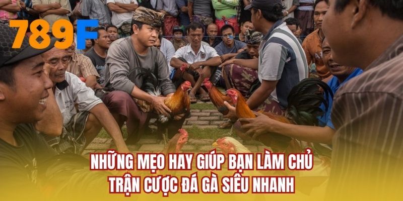 Những mẹo hay giúp bạn làm chủ trận cược đá gà siêu nhanh