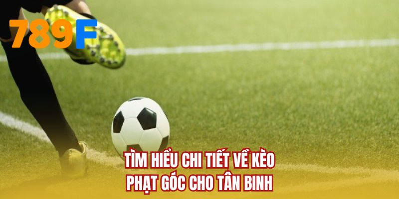 Tìm hiểu chi tiết về kèo phạt góc cho tân binh