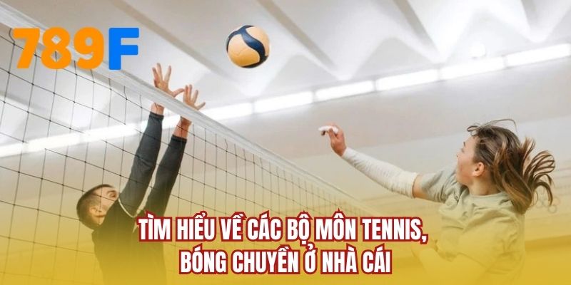 Tìm hiểu về các bộ môn tennis, bóng chuyền ở nhà cái